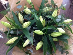 Oriental Lily hand tied