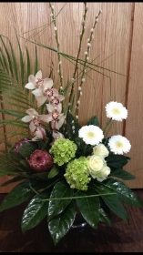 Modern Cymbidium Orchid Arrangement